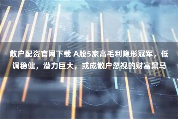 散户配资官网下载 A股5家高毛利隐形冠军，低调稳健，潜力巨大，或成散户忽视的财富黑马