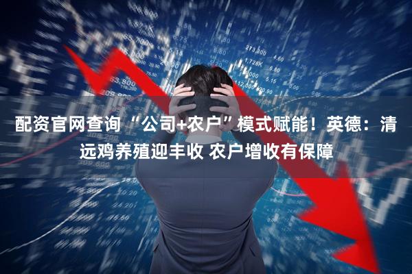 配资官网查询 “公司+农户”模式赋能！英德：清远鸡养殖迎丰收 农户增收有保障